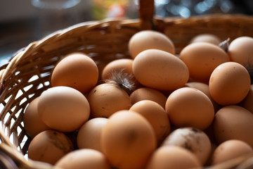 Close-up of basket with home eggs.