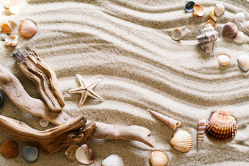 Starfish and seashells on sand. Sea summer vacation background with space for the text