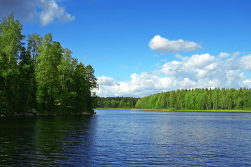 Lake in the woods