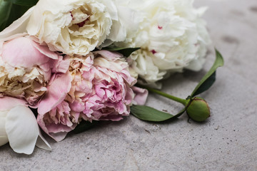 Closeup of beautiful pink and white Peonie flower on light background