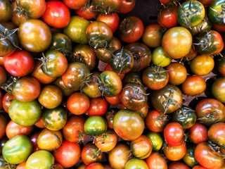 Tomatoes in red, green, yellow color at market stall