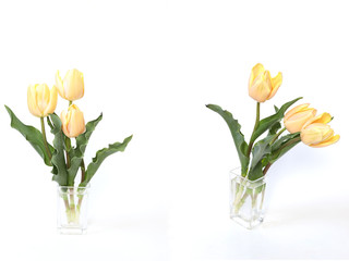ガラス花瓶に挿したチューリップ 