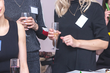 Group of partying girls clinking flutes with sparkling wine. Friend