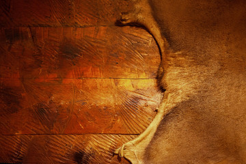 Wood texture with natural pattern. Old wood background. Wood planks. Animal skin