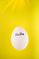 White chicken egg with black inscription hello on a yellow background.