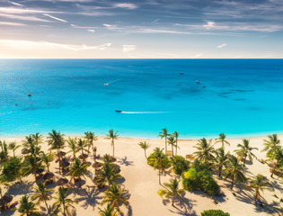 Aerial view of palms on the sandy beach of Indian Ocean at sunset. Summer holiday in Zanzibar, Africa. Tropical landscape with green palm trees, sand, blue water, colorful sky. Top view of sea coast - obrazy, fototapety, plakaty