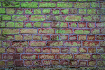 Fototapeta premium Brick wall in close up 
