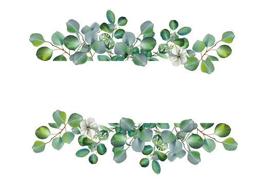 Watercolor hand painted banner with green eucalyptus leaves and branches. Spring or summer flowers for invitation, wedding or greeting cards.