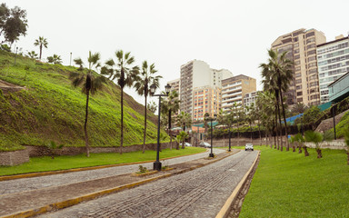 Fototapeta premium Clobbled typical colonial street at Miraflores neighborhood, with palm trees and a few cars, on a cloudy day, with residential buildings on the background and green grass