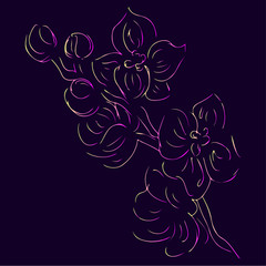 Hand Drawn Vector Illustrations Of Abstract Orchid Flower With Violet, Yellow and Pink Colors. Hand Drawn Sketch of a Flower.