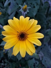 Un Sol en medio de la noche 