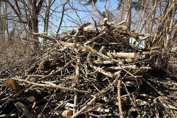 Holzhaufen für Hackschnitzel