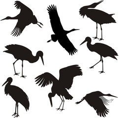 Vector silhouettes of storks