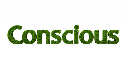 3D rendering CONSCIOUS word made of green grass, save the earth concept