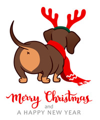 Christmas dachshund puppy dog vector cartoon illustration. Cute wiener sausage dog  wearing red scarf and antlers. Funny doxie butt, pets, dog lovers, children, animal themed Christmas greeting card.