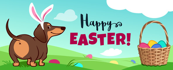 Cute dachshund dog with Easter bunny ears sits in grass, basket full of candy eggs, eggs hidden in grass, vector cartoon illustration, text 