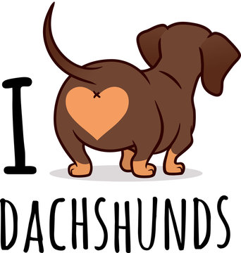 Cute dachshund dog vector cartoon illustration isolated on white, "I love dachshunds" text caption. Chocolate and tan wiener sausage dog, rear view. Funny doxie butt, dog lovers, pets, animals theme.