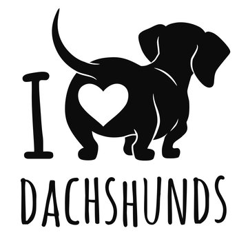 Cute dachshund dog vector illustration isolated on white, "I love dachshunds" text caption. Simple black silhouette wiener sausage dog, rear view. Funny doxie butt, dog lovers, pets, animal theme.