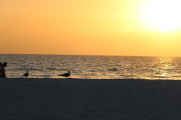 sunset on the beach