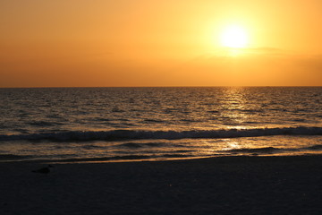 Fototapeta premium sunset on the beach