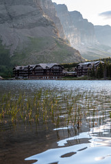 Reeds Stand At the Edit of Swiftcurrent Lake Near Many Glacier Hotel