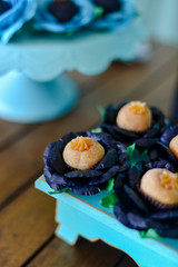 gourmet brigadeiro candies, elegant party sweets, delicious brazilian dessert, decorative handmade confectionery,party sweets, party candy, condensed milk candy balls, candy balls