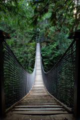 Long Hanging Bridge