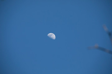 daylight moon
