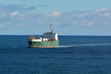 Cargo ship sailing in the sea