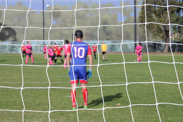 Football Soccer Goal Post Net