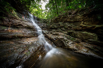 Tijuca Forest Waterfall
