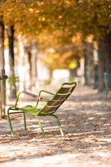 Autumn in Paris. Garden Tuileries.