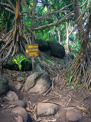 Sign along Kalalau Hiking Trail gives direction to bathroom