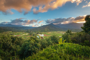 View from Hanalei Valley Lookout on the Hawaiian island of Kauai, USA