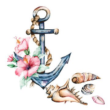 Anchor, seashells, flower. Watercolor hand painting marine design. Summer illustration isolated on white background.