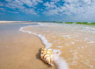A seashell sits calmly as the ocean waves break against the white sand. The emerald, turquoise water contrasts the blue colored sky on a sunny, summer day in Gulf Shores southern Alabama. 