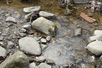 Mossy Rock on Edge of Creek