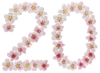 Numeral 20, twenty, from natural pink flowers of peach tree, isolated on white background