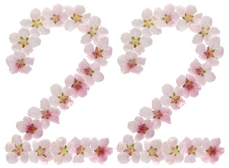 Numeral 22, twenty two, from natural pink flowers of peach tree, isolated on white background