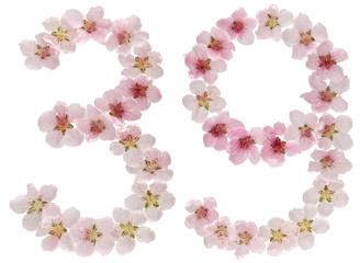 Numeral 39, thirty nine, from natural pink flowers of peach tree, isolated on white background