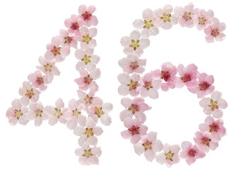 Numeral 46, forty six, from natural pink flowers of peach tree, isolated on white background
