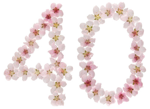 Numeral 40, forty, from natural pink flowers of peach tree, isolated on white background