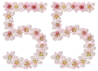 Numeral 55, fifty five, from natural pink flowers of peach tree, isolated on white background
