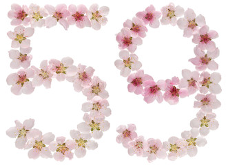 Numeral 59, fifty nine, from natural pink flowers of peach tree, isolated on white background