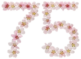Fototapeta na wymiar Numeral 75, seventy five, from natural pink flowers of peach tree, isolated on white background