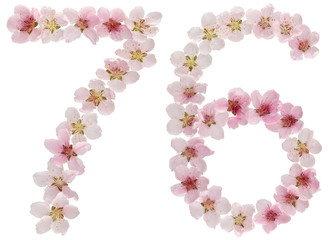 Numeral 76, seventy six, from natural pink flowers of peach tree, isolated on white background