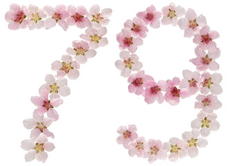 Numeral 79, seventy nine, from natural pink flowers of peach tree, isolated on white background