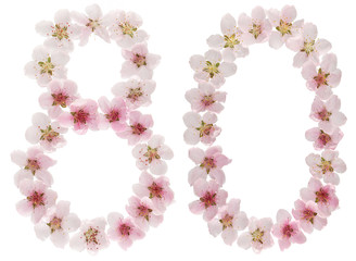 Numeral 80, eighty, eight, from natural pink flowers of peach tree, isolated on white background