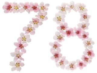 Numeral 78, seventy eight, from natural pink flowers of peach tree, isolated on white background