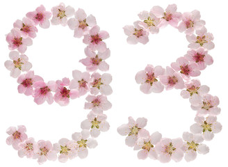 Numeral 93, ninety three, from natural pink flowers of peach tree, isolated on white background